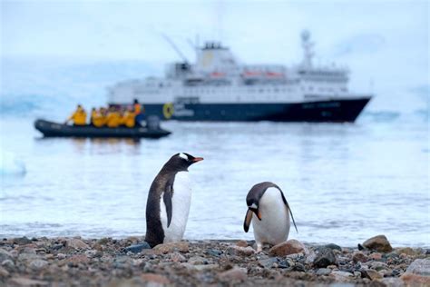 the once in a lifetime guide to expedition cruising luxury cruise advice and inspiration from