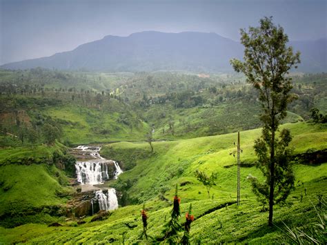Enchanted Boom In The Resplendent Land Visit Sri Lanka