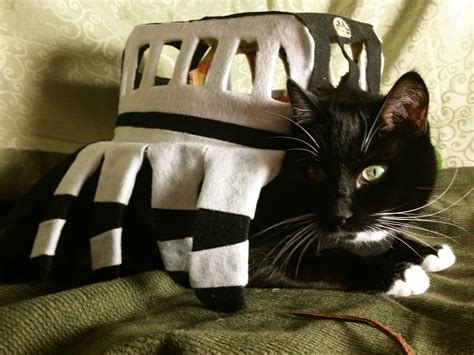 Cat Cosplay Of The Feline Variety — Catbus Pet Costume Tutorial