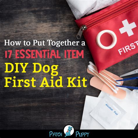 How To Put Together A 17 Essential Item Diy Dog First Aid Kit Diy Dog