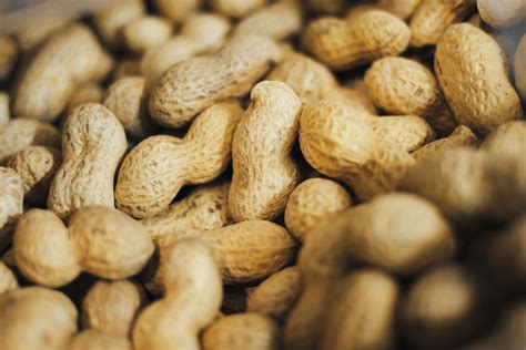 Study Eating Peanuts During Childhood May Prevent Allergies