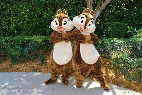 Character Of The Week Chip N Dale Disney Character Central Blog