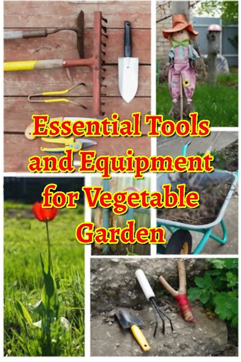 A wheelbarrow or garden cart is essential for moving dirt, plants and gardening supplies. Essential Tools and Equipment for Vegetable Garden in 2020 ...