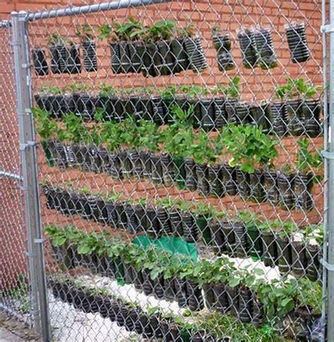 Build A Vertical Garden From Recycled Soda Bottles Diy