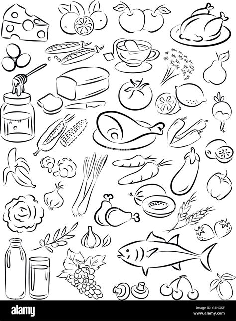 Vector Illustration Of Healthy Food Collection In Line Art Food Stock