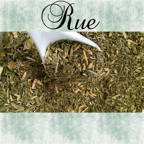 Rue Ruta Graveolens Pills Powders Teas Pill Blends Powder