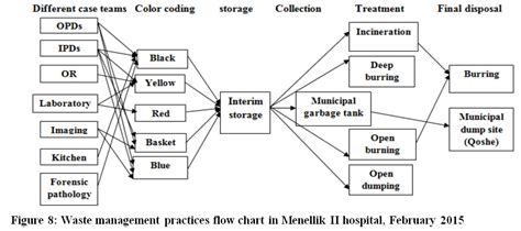 Healthcare Waste Management The Current Issue In Menellik