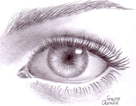 Fun The Ultimate Collection Of Eye Drawings With Pencil