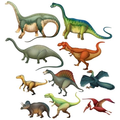 Colección De Dinosaurios A Color Vector Premium