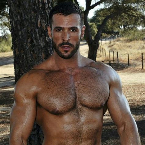 pin on handsome hot hairy men