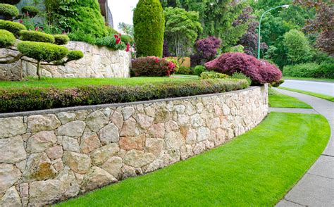 Expert pest control companies will have the knowledge to properly eradicate these unwanted new visitors to florida. Lawn Health Services - UpRooted Pest | Dunedin, Florida ...