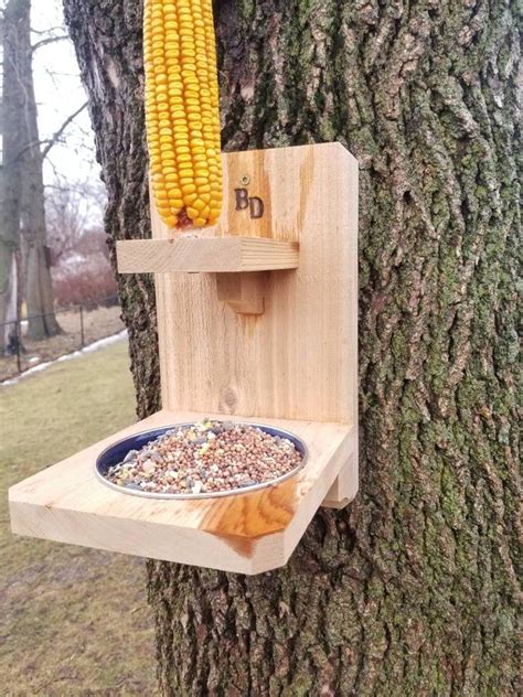 A Corn On The Cob Hanging From A Tree Next To A Blue Bowl Filled With