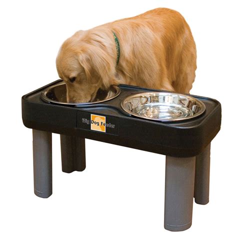 Dog Feeding Bowl Stand Pet Food Bowlsdog And Cat Diner Pet Feeder