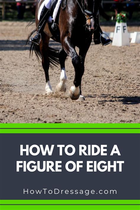How To Ride A Figure Of Eight Dressage Horses Horse Exercises