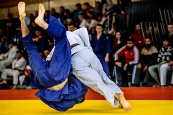 חמש מהמדליות הן בתחום ה ג'ודו , שלוש נוספות בתחום ה שייט ( גלישת רוח ), אחת בתחום ה טאקוונדו והמדליה הנוספת, בתחום ה קיאקים. נבחרת ג'וניור | איגוד הג'ודו | איגוד הג'ודו בישראל
