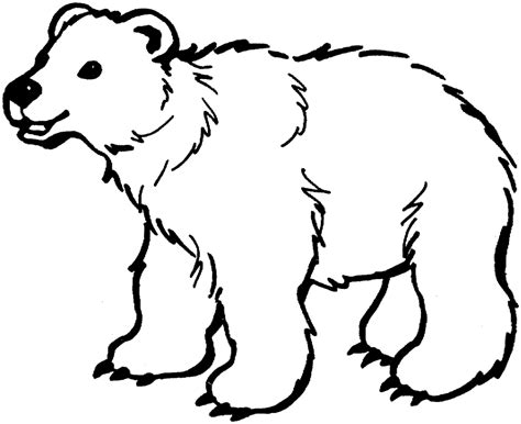 Dessins Ours (Animaux) à colorier – Coloriages à imprimer