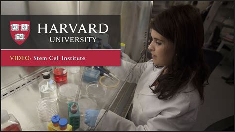 Changing The Foundations Of Science Harvard Stem Cell Institute One