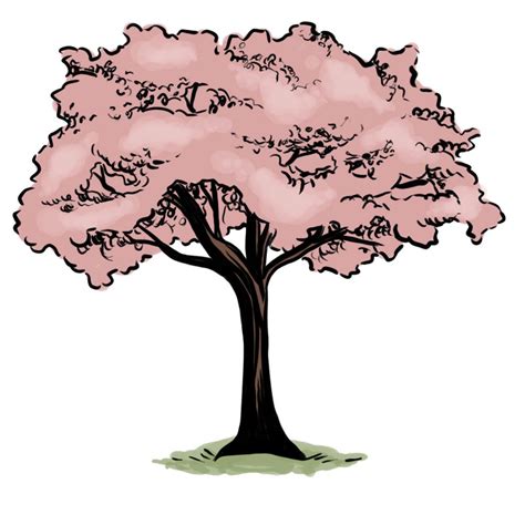 Wikihow To Draw A Cherry Tree Via Blossoms Art Cherry