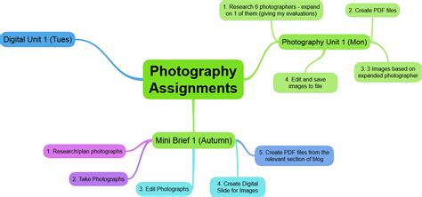 Trish Molyneaux Access To H E Diploma Photography Mind Map And Gantt
