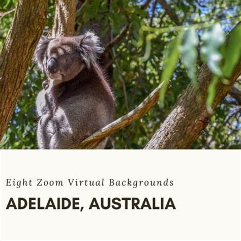 Eight Australia Zoom Virtual Backgrounds Including Koala Etsy