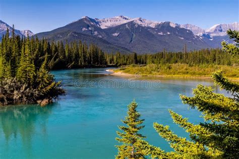 Bow River Banff National Park Alberta Canada Stock Photo Image Of