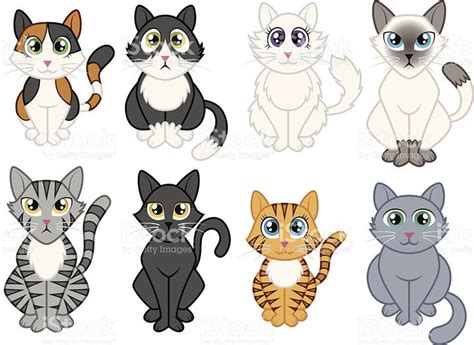 Resultado De Imagen De Gatos Animados Cat Vector Cat Stock Burmese Cat