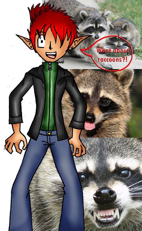 What About Raccoons By Apotropaic Puppet On Deviantart