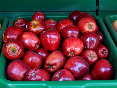 Delicious Looking Red Apples Free Stock Photo Public Domain Pictures