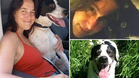 Woman To Marry Her Pet Dog After Husband Of 16 Years Her Cat Dies