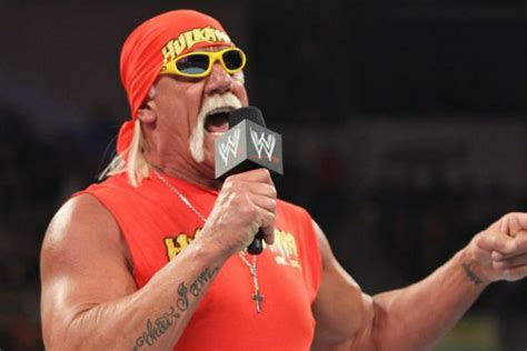 Hulk Hogan Fired From Wwe Due To Racial Comments Celebrities Nigeria