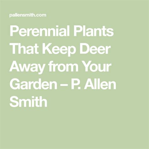 Here's a 'good' recipe for homemade deer repellent. Perennial Plants That Keep Deer Away from Your Garden in ...