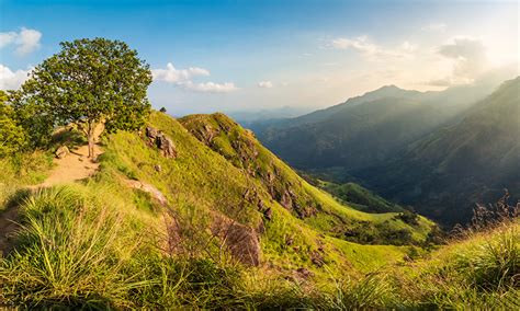 Wallpaper Sri Lanka Nature Mountain Trees