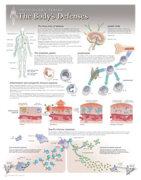 The Bodys Defenses Scientific Publishing