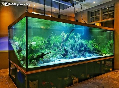 100 Gallon Fish Tank Only Ape Aquarium Fish