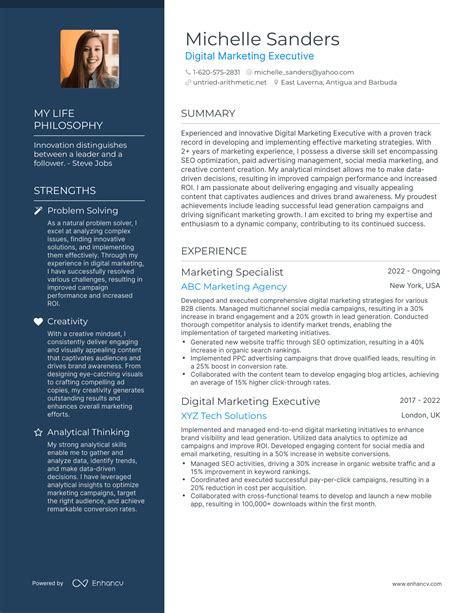 3 Digital Marketing Executive Resume Examples And How To Guide For 2023