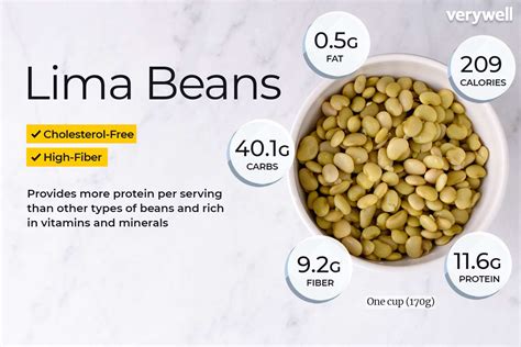dry white beans nutritional information besto blog