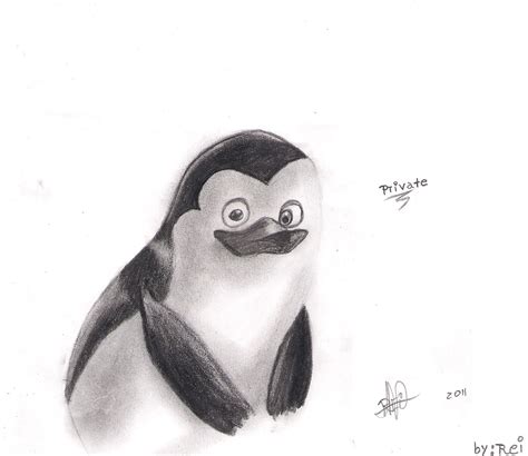 My Cute Private Penguins Of Madagascar Fan Art 22085905 Fanpop