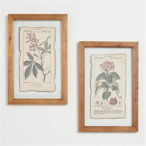 Botanical Prints Framed Linen Wall Art Set Of 2 Framed Botanical