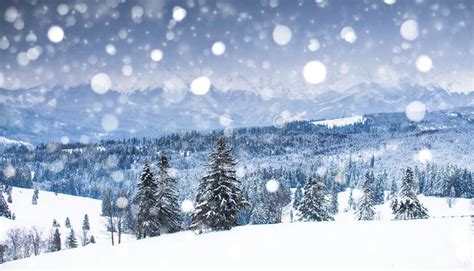 Mountain Winter Landscape Christmas Snowfall In The Mountains Stock