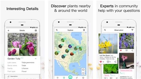 And if you want to share plant pictures and details with friends, just do it with plant identification ++. 10 best plant apps and flower identification apps for ...