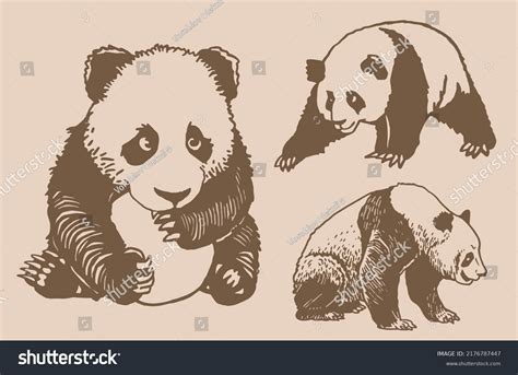 Graphical Vintage Set Adorable Pandas Vector Stock Vector Royalty Free