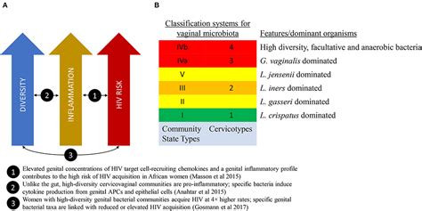 Frontiers Determinants Of Vaginal Microbiota Composition