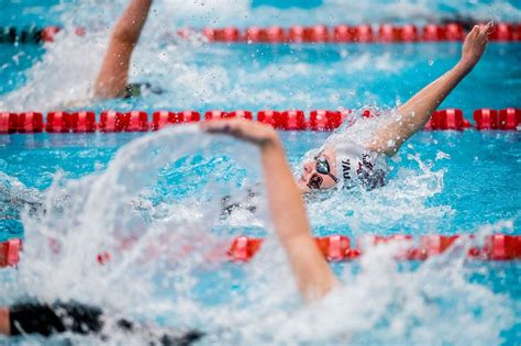 Best Photos From 2019 Michigan Girls Swimming And Diving Championships