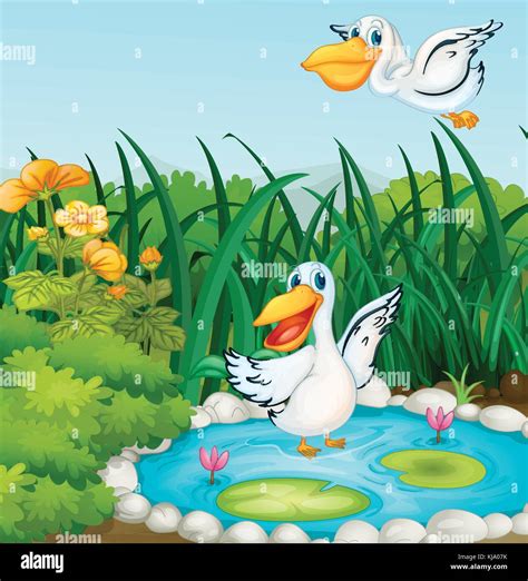 Illustration Of A Pond With Ducks Stock Vector Image And Art Alamy