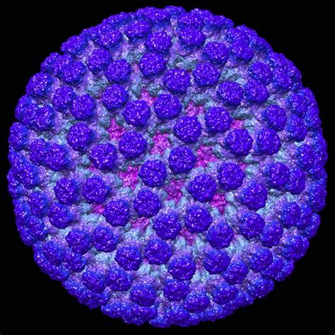 Название rotavirus предложено в 1974 г. 3D Reconstruction Of A Rotavirus Featured In "Life: Magnified"