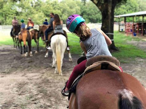The 10 Best Florida Horseback Riding Tours Updated 2024