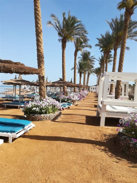 Außenansicht Dana Beach Resort Hurghada • Holidaycheck Hurghada