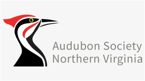 Audubon Society Of Northern Virginia Hd Png Download Transparent Png