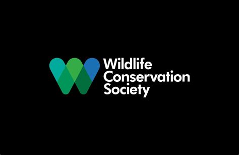 Jesse Reed Wildlife Conservation Society Endangered Pandas Wildlife