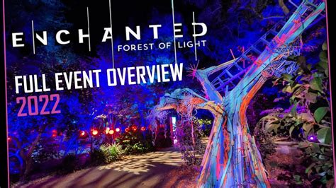 Enchanted Forest Of Light Descanso Gardens 2022 Full Event Overview